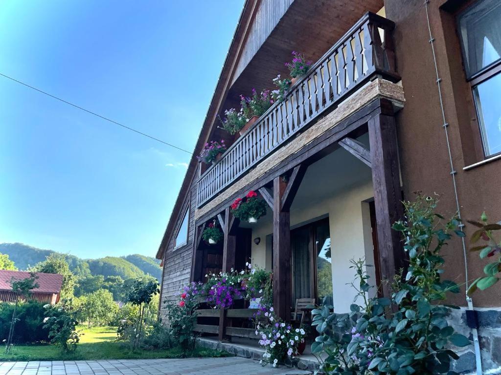 Pensiunea Rares Bistrita Bargaului Exterior foto