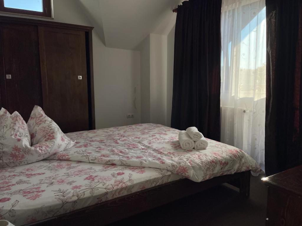 Pensiunea Rares Bistrita Bargaului Exterior foto